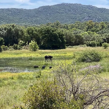 Apartment 4 Personnes - Grande Terrasse - Proche Du Port - Porto-vecchio *
